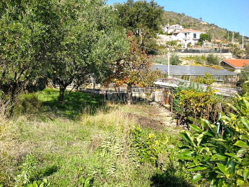 Agenzia Immobiliare Centrale Sanremo